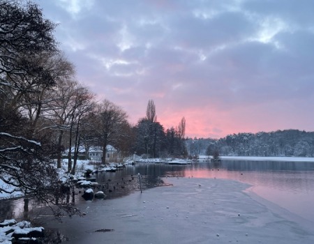 54_img2_img_4690_uull.jpg